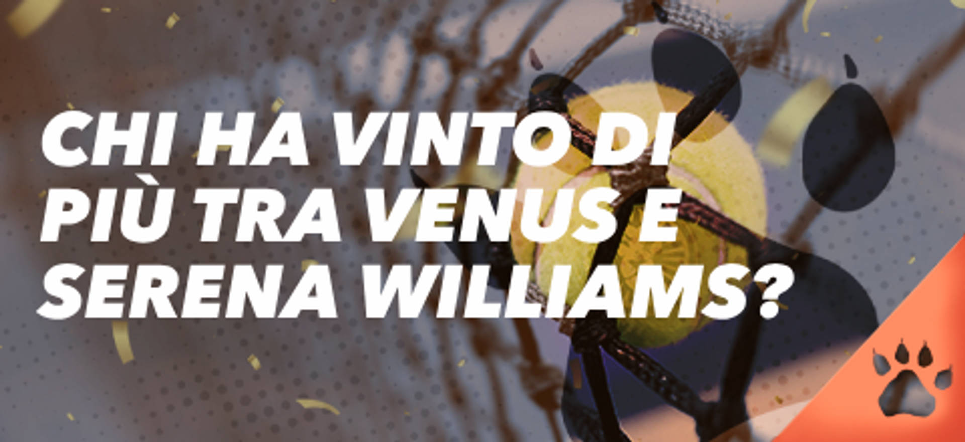 Chi ha vinto di più tra Venus e Serena Williams? Pallina da tennis in rete.