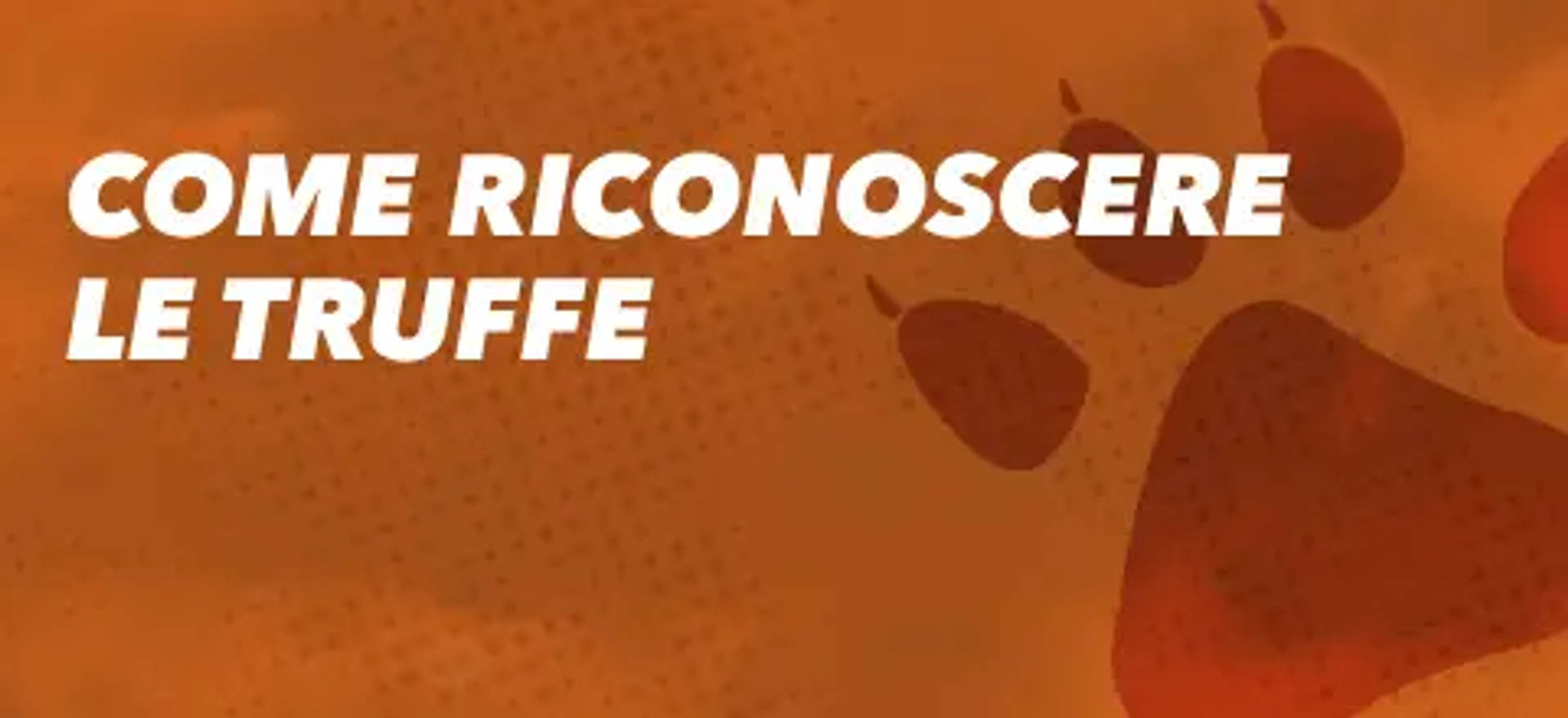 Come riconoscere le truffe