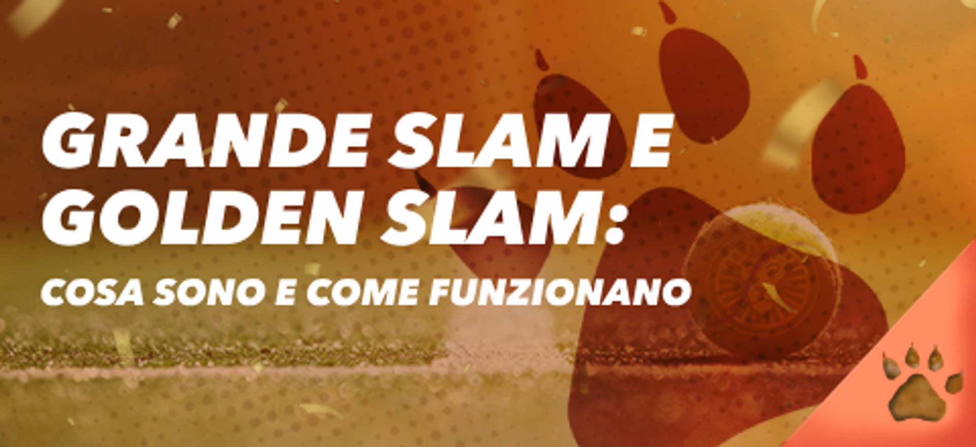 cosa sono e come funzionano.