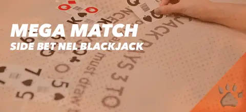 Mega Match