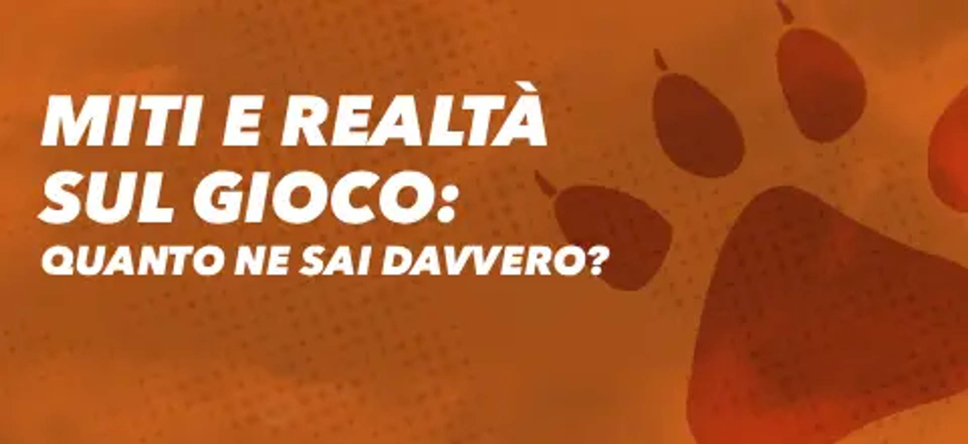 Miti e realtà sul gioco: quanto ne sai davvero?