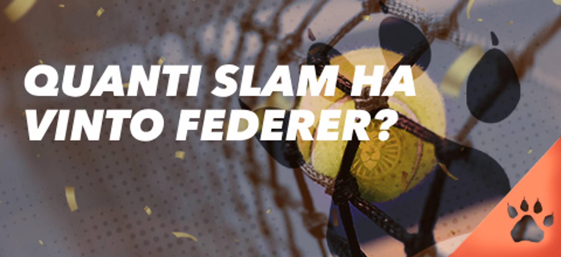 Quanti Slam ha vinto Federer? Pallina da tennis nella rete.