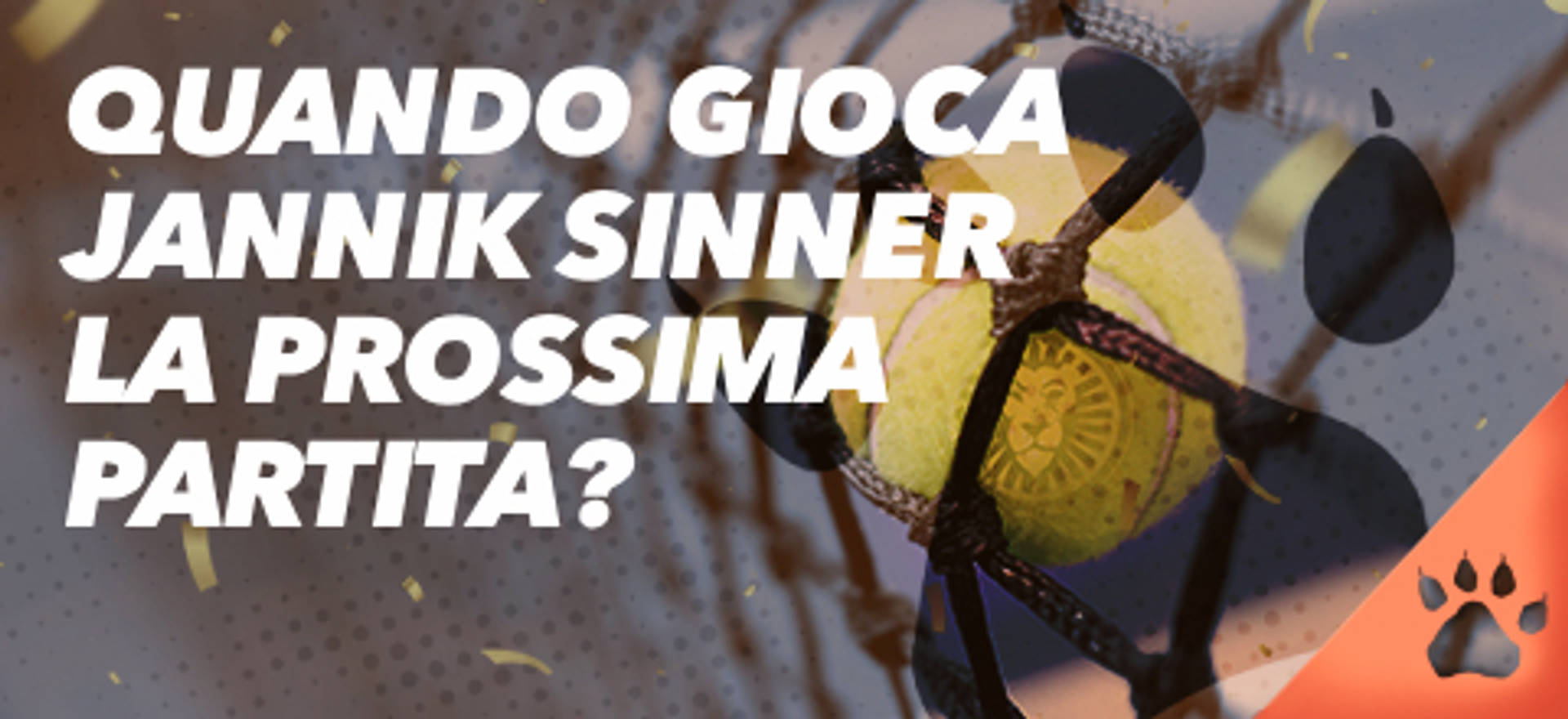 Quando gioca Jannik Sinner la prossima partita? Pallina da tennis in rete.
