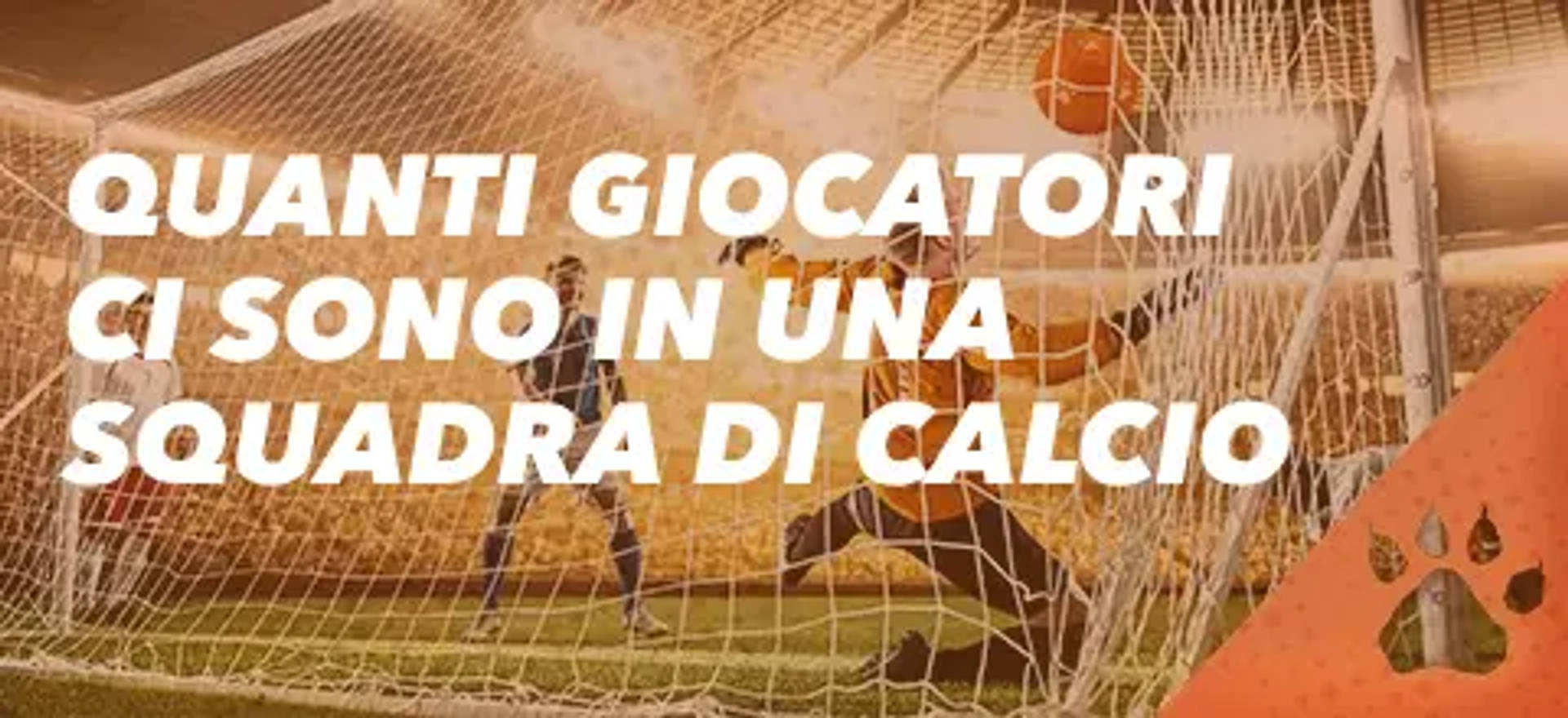 Quanti giocatori ci sono in una squadra di calcio su sfondo arancione con impronta di zampa.