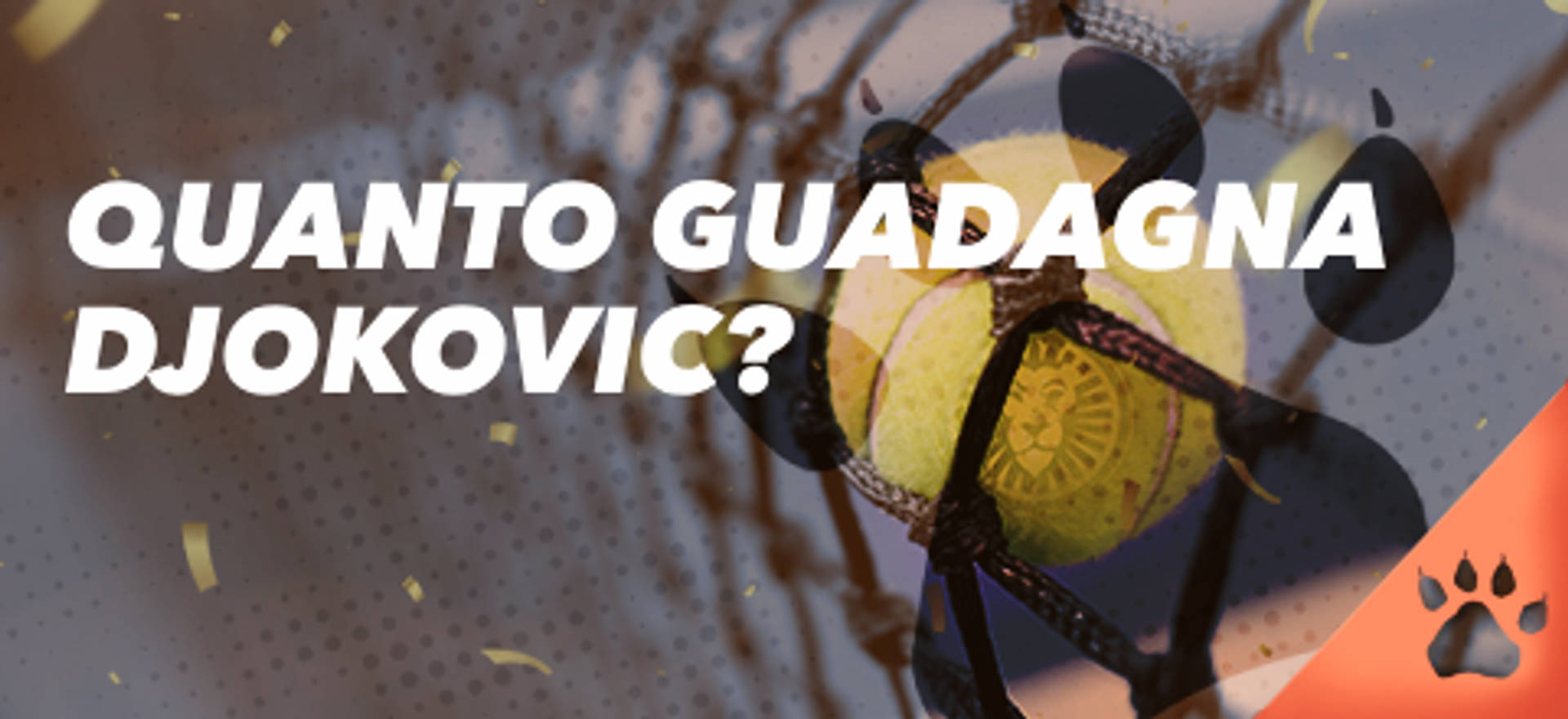 Quanto guadagna Djokovic? Pallina da tennis in rete.