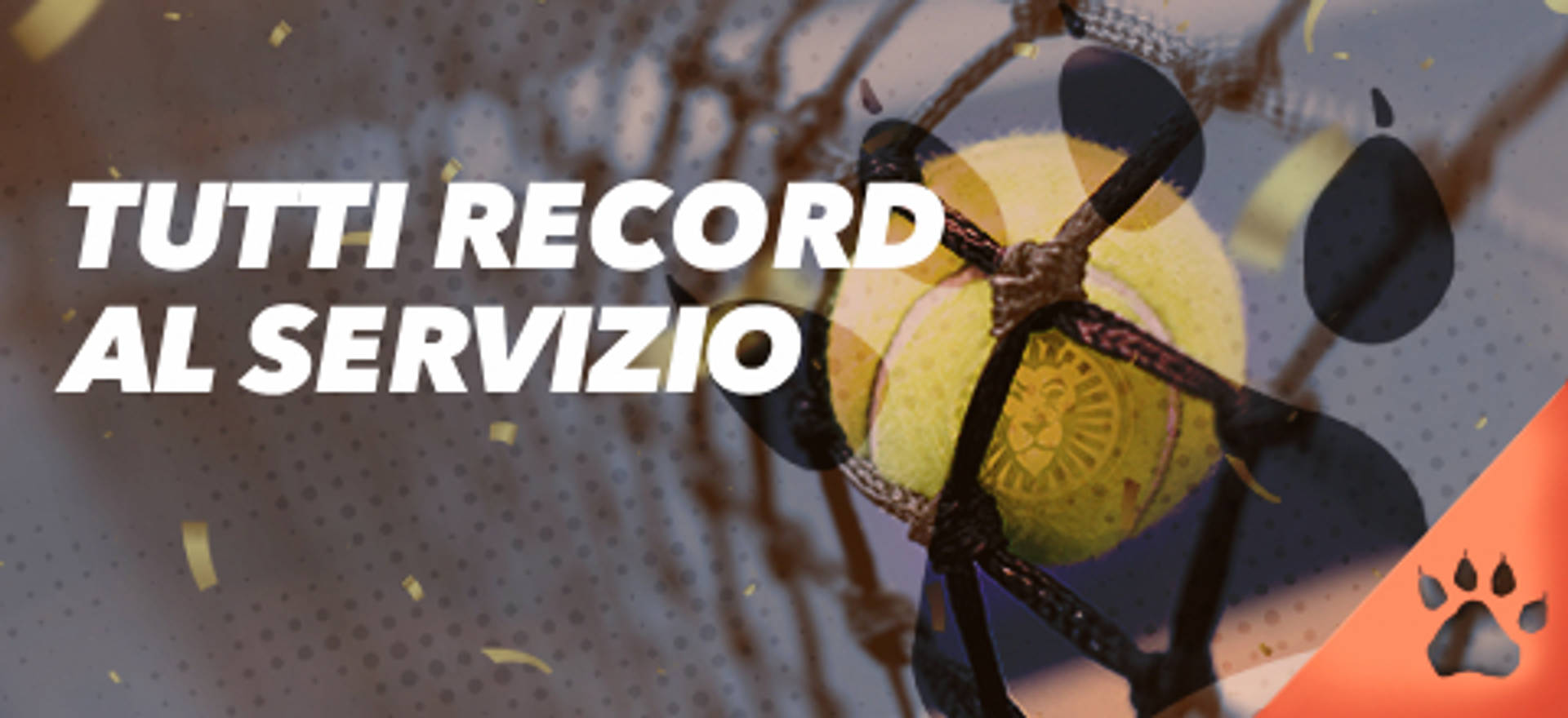 Tutti i record al servizio, palla da tennis nella rete.