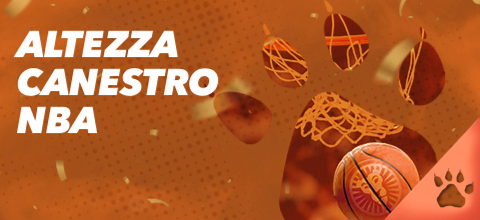Promozione su basket NBA.
