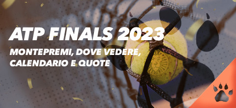 ATP FINALS 2023: Montepremi, Dove vedere, Calendario e Quote | News & Blog LeoVegas Sport