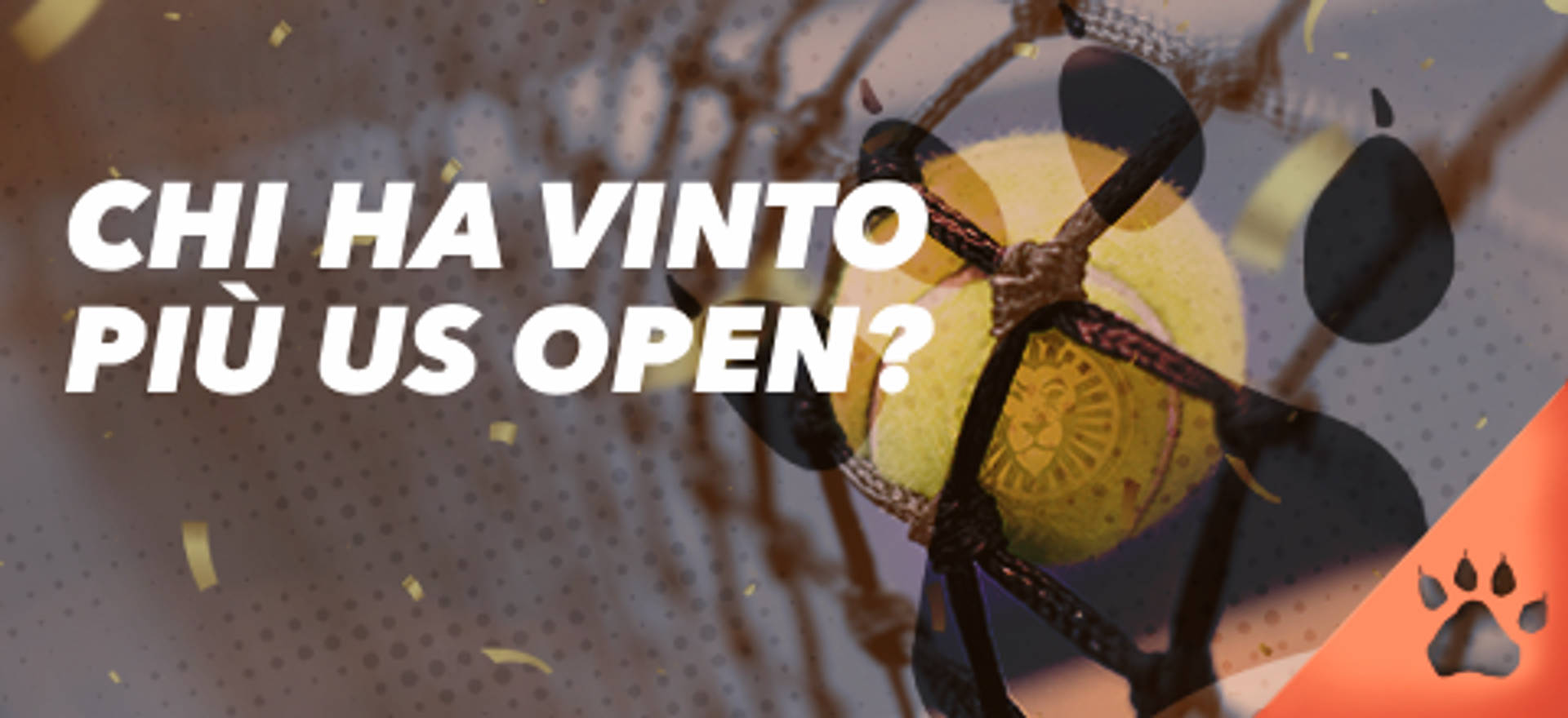 Chi ha vinto più US Open? Pallina da tennis in rete.
