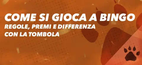 Come si Gioca a Bingo