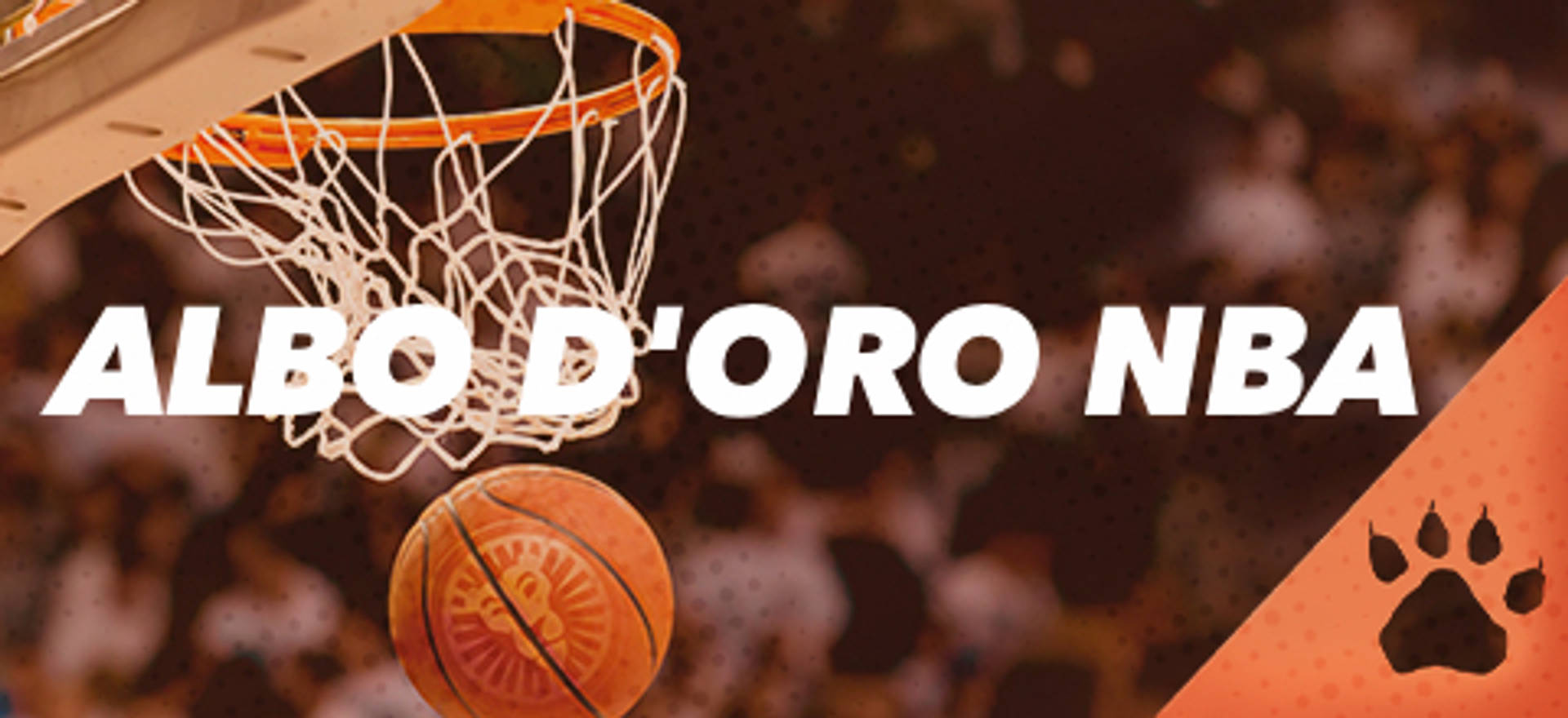 immagine di pallacanestro e canestro.