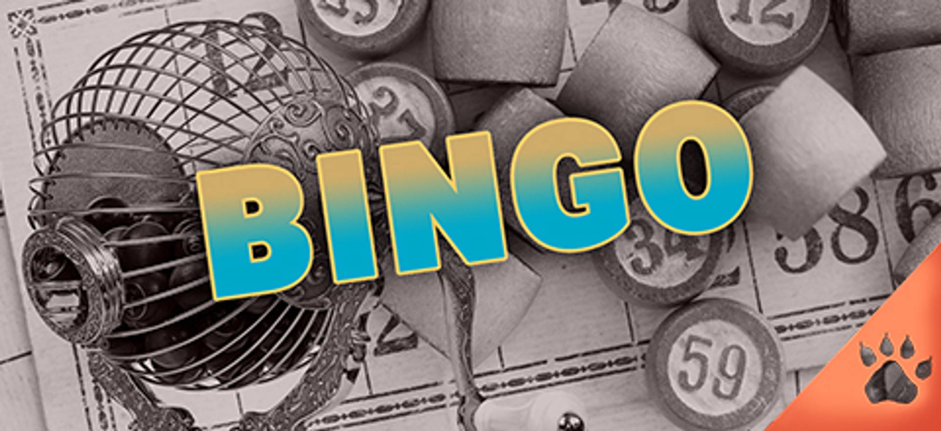 Immagine di sfondo di Bingo con la scritta "BINGO" in primo piano.