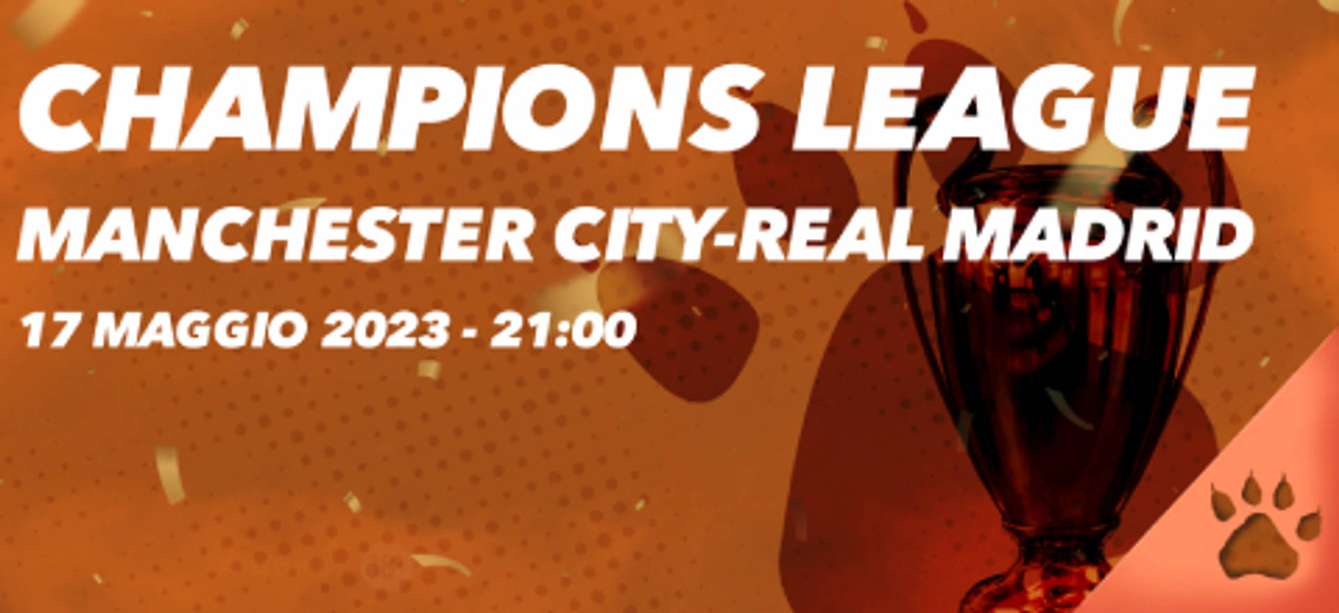 champions league (17).jpg