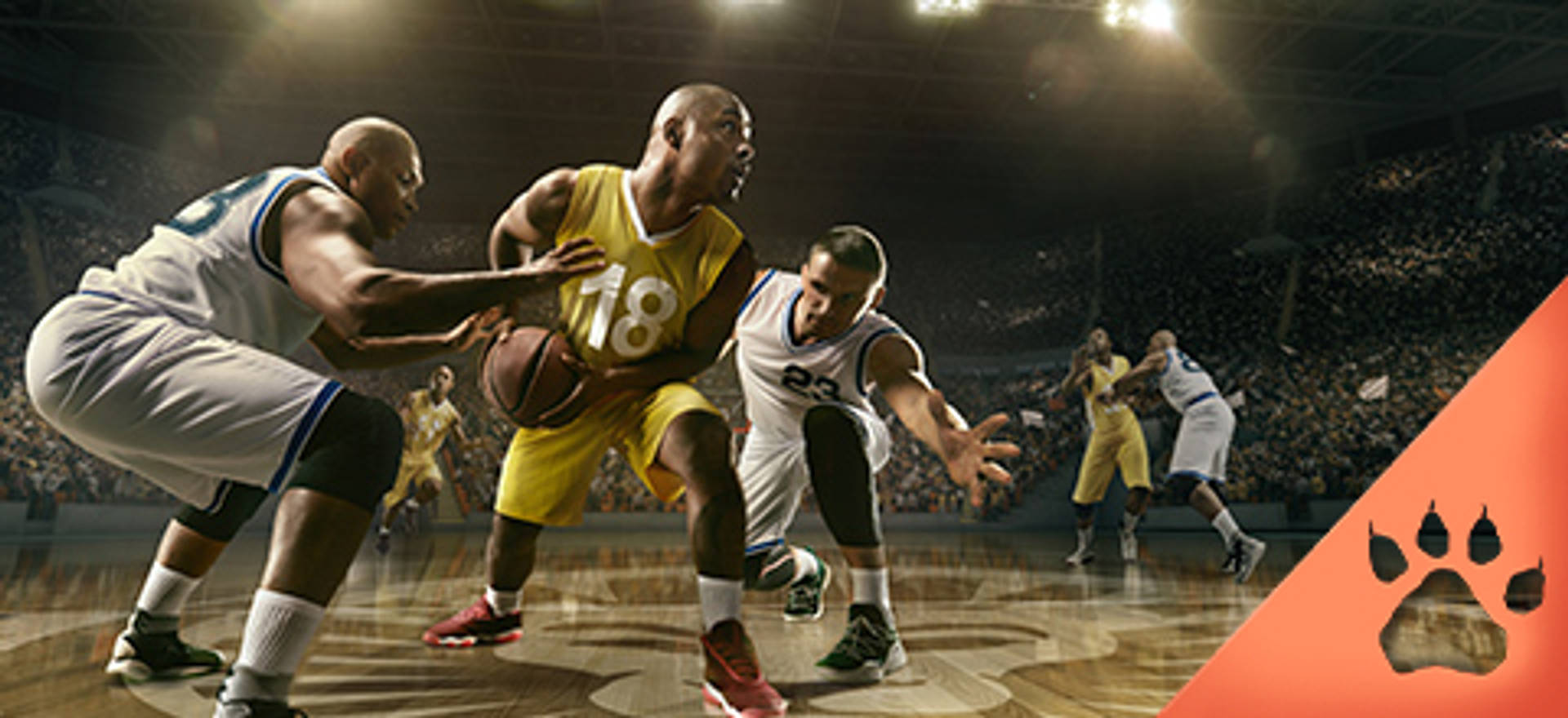 Basketball_2_sports_lv_blog_D22042_JA_072019 (1).jpg