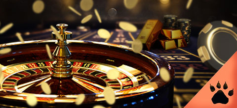 Scommesse Strane e Aneddoti Curiosi (Guida aggiornata al 2025) | Blog LeoVegas
