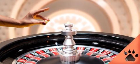 La guida al galateo dello spin alla roulette (Guida aggiornata al 2024) | Blog LeoVegas