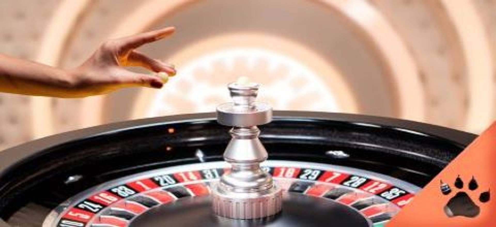 Il galateo dello spin alla roulette.jpg