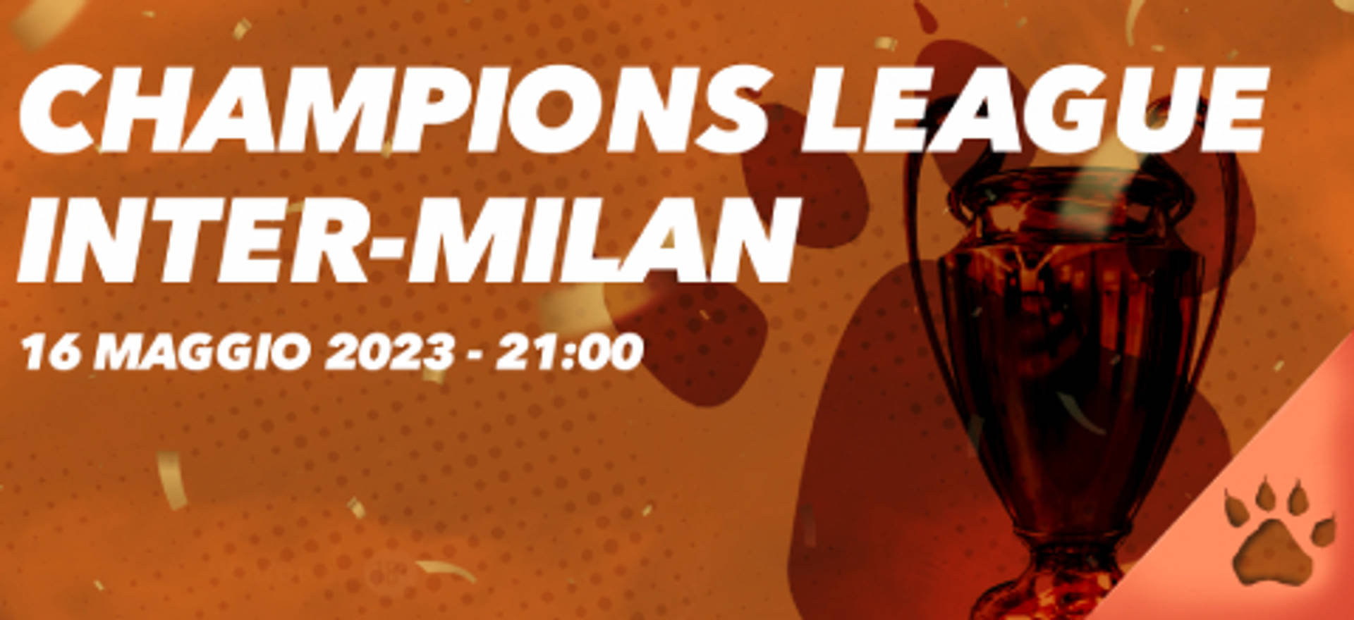 champions league (18).jpg