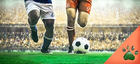 Scommesse Gol No Gol - La guida completa (Guida aggiornata al 2025) | Blog LeoVegas