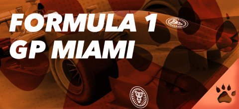Formula 1 - Gran Premio di Miami - Tutte le Info | News & Blog LeoVegas Sport
