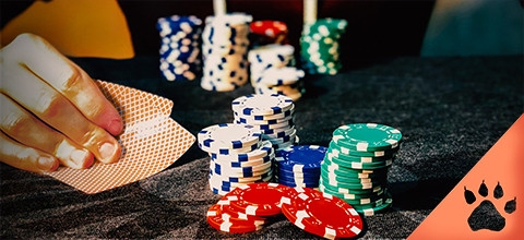 I nostri 5 migliori giochi di poker (Guida aggiornata al 2024) | Blog LeoVegas Casinò