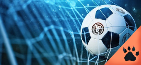 Tutto Sui Sistemi di Scommesse (Guida aggiornata al 2025) | Blog LeoVegas