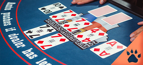 Le Regole del Poker: dal Texas all'Omaha (Guida aggiornata al 2025) | Blog LeoVegas