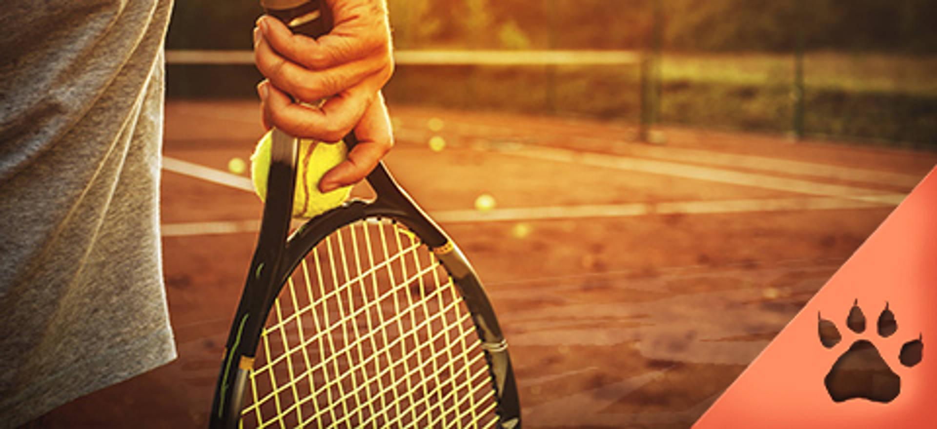 Chi ha vinto più Australian Open