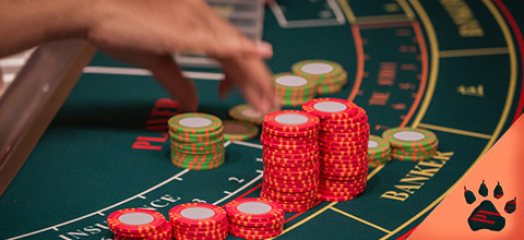 Regole Baccarat: La guida completa del 2025 | Blog LeoVegas Casinò