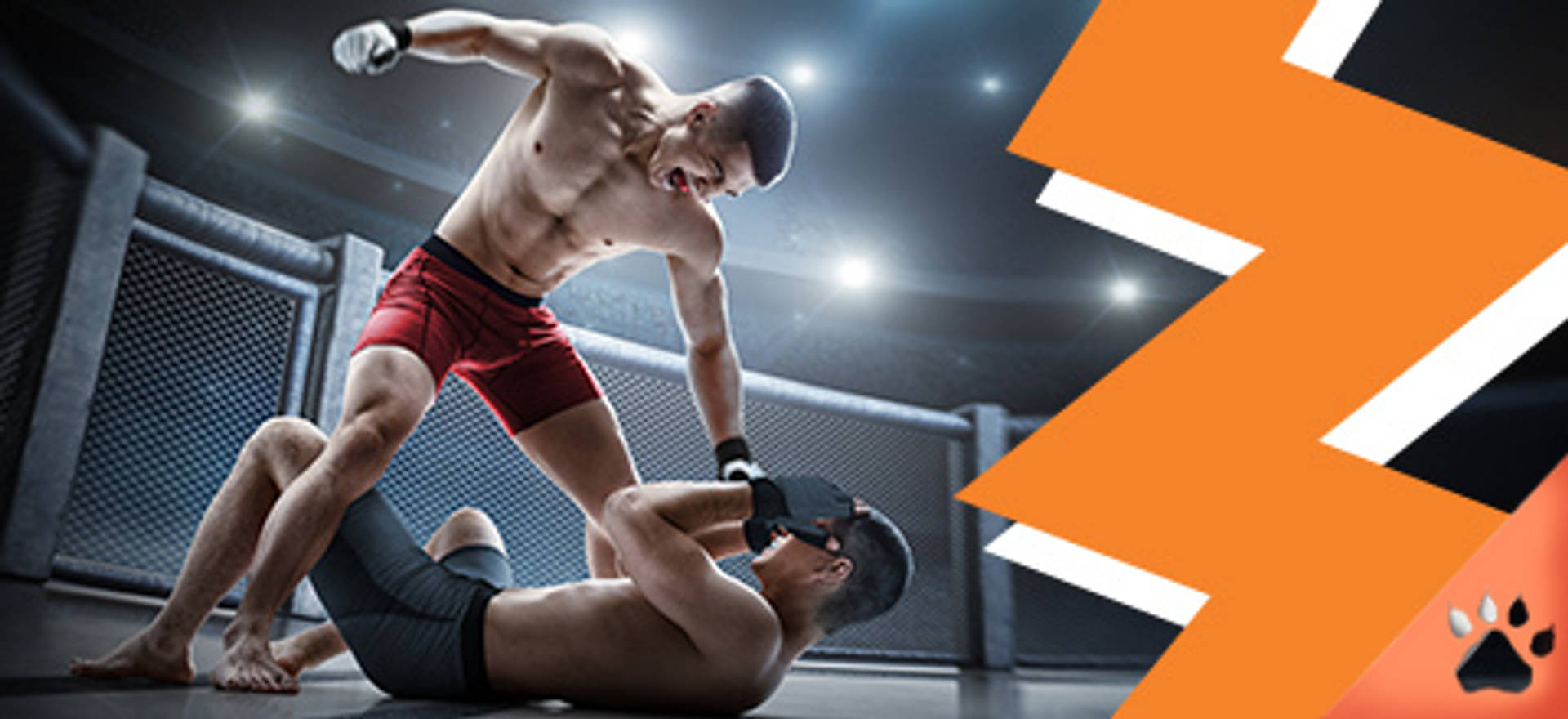 Due combattenti MMA in un ring, uno in piedi e l'altro a terra.