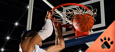 Korisliiga_blog_promo_480x220_fi_32620_MM_012020 (1).jpg