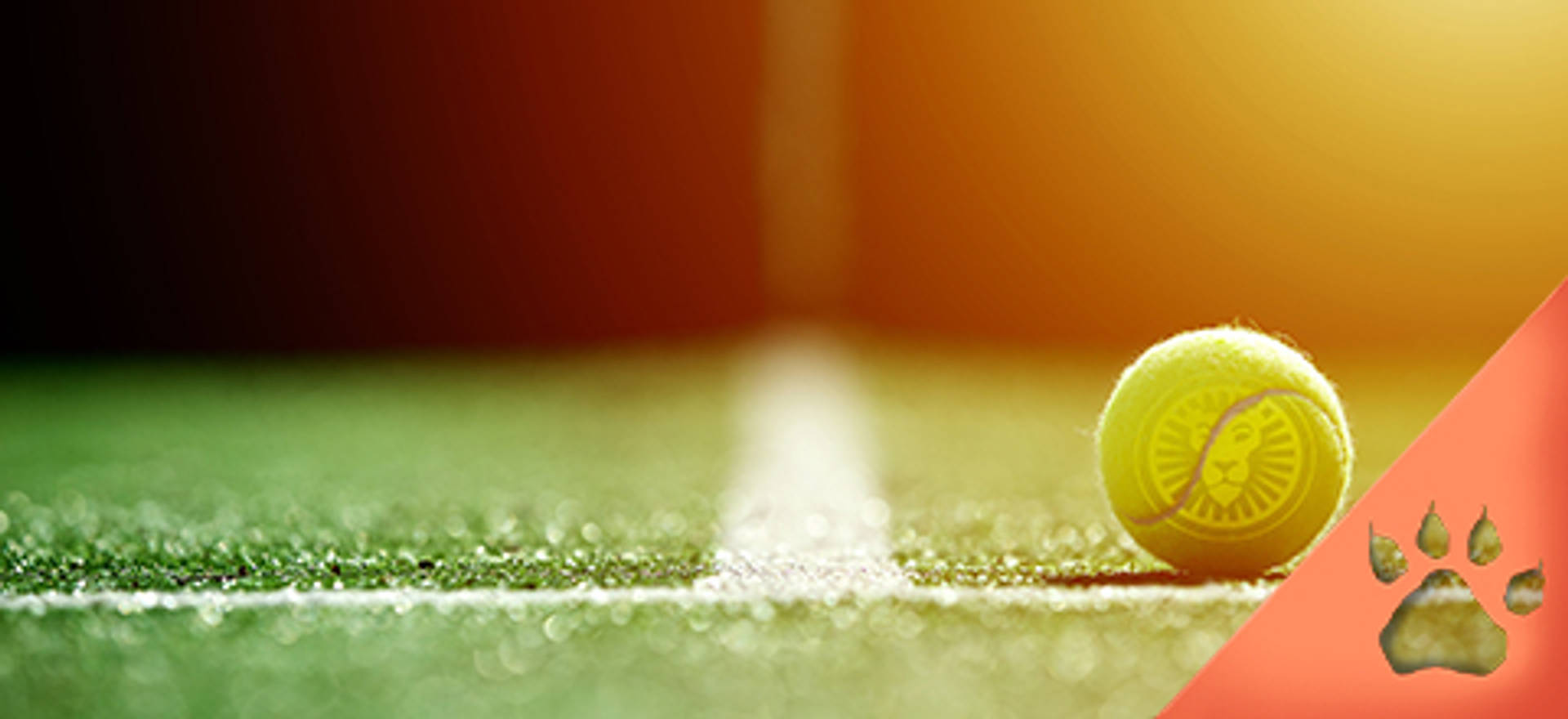 Pallina da tennis su campo verde con logo.