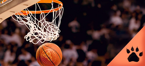 Playoff NBA 2024 - Come funzionano, Calendario, Tabellone | Blog LeoVegas Sport