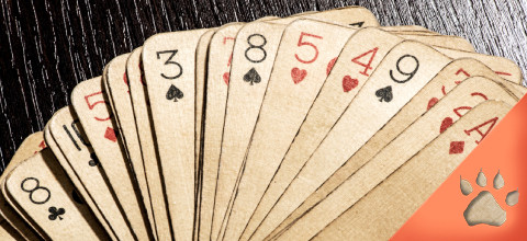 Blackjack: storia, curiosità e protagonisti (Guida aggiornata al 2024) | Blog LeoVegas