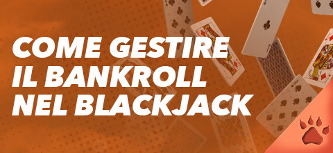 Come Gestire il Bankroll nel Blackjack: la guida completa | Blog LeoVegas Live Casinò