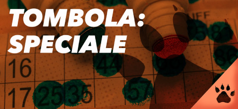 Tombola - Significato dei Numeri e Come giocare (Guida aggiornata al 2025) | Blog LeoVegas Casinò