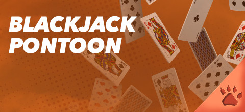Pontoon Blackjack: come giocare