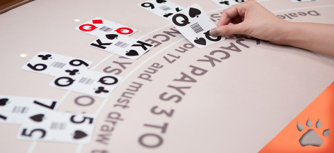 Regole Blackjack: come si gioca, strategia (Guida aggiornata al 2025) | Blog LeoVegas