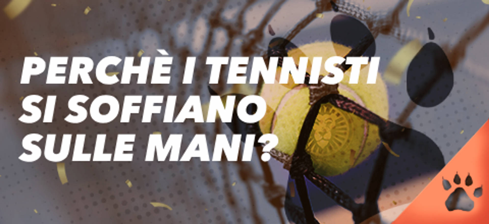 Perché i tennisti si soffiano sulle mani? Articolo sul tennis.