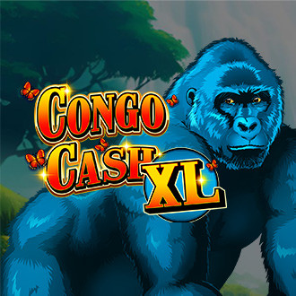 Congo Cash XL