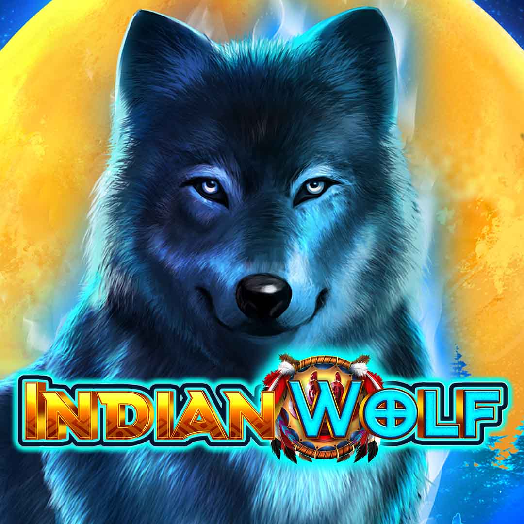 Indian Wolf